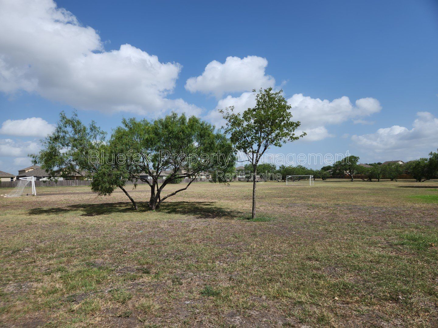 Spectacular 4 Bedroom 3 Bath Home in Converse, TX! Easy Access to IH-10, Fort Sam, and Randolph AFB. property image