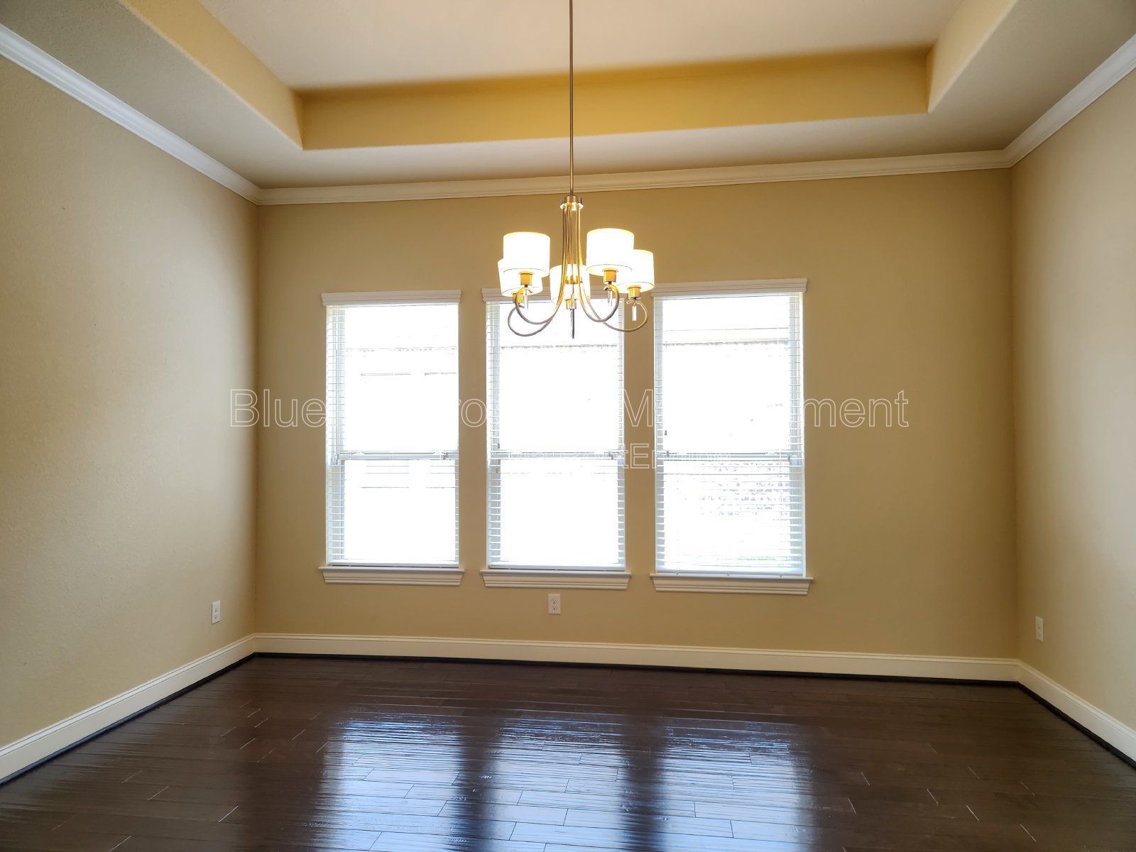 4 Bedroom Home with 3 Car Garage and Oversized Yard in a Gated Community - Alamo Ranch - Close to Shopping / Dining property image