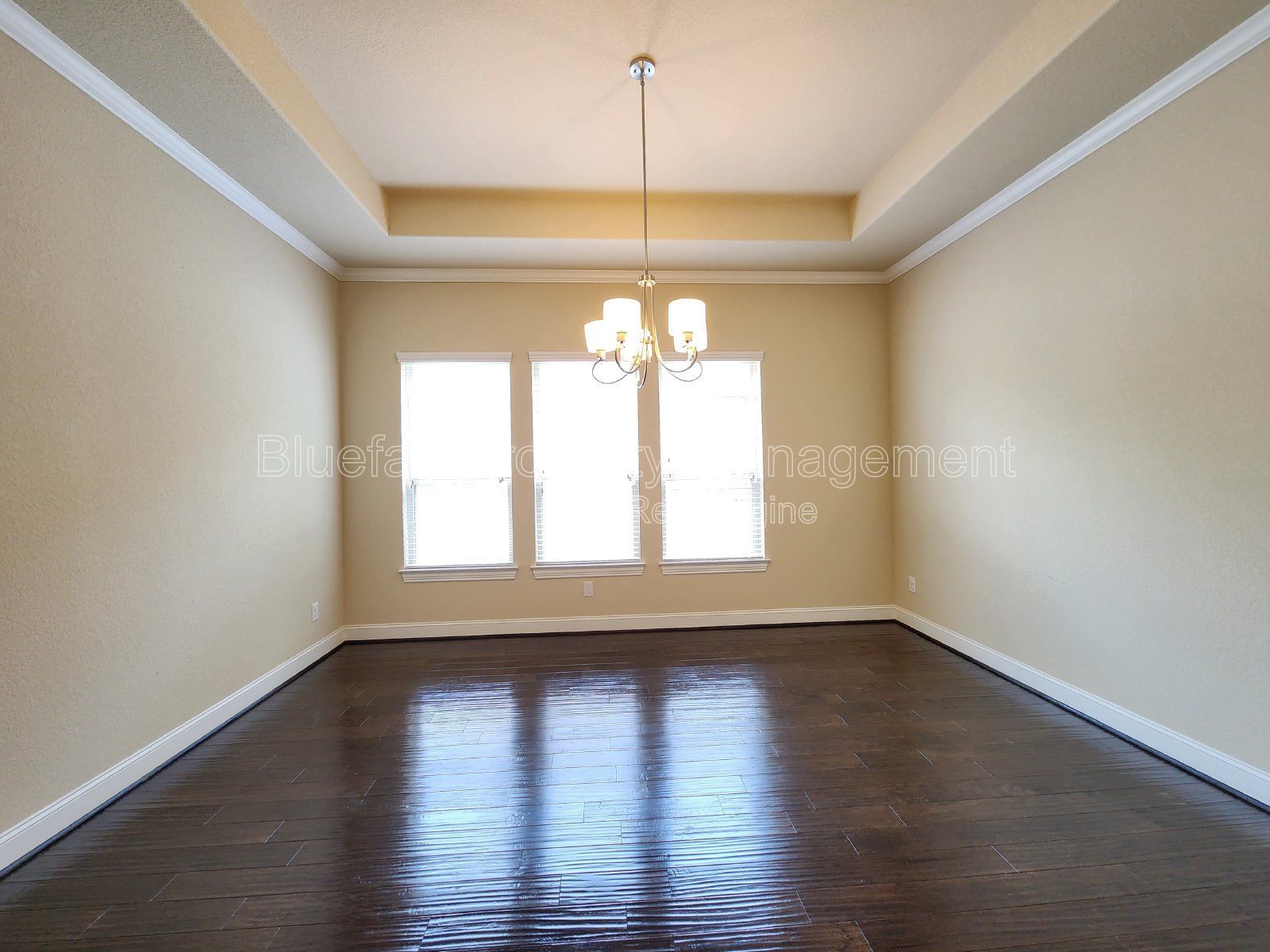 4 Bedroom Home with 3 Car Garage and Oversized Yard in a Gated Community - Alamo Ranch - Close to Shopping / Dining property image